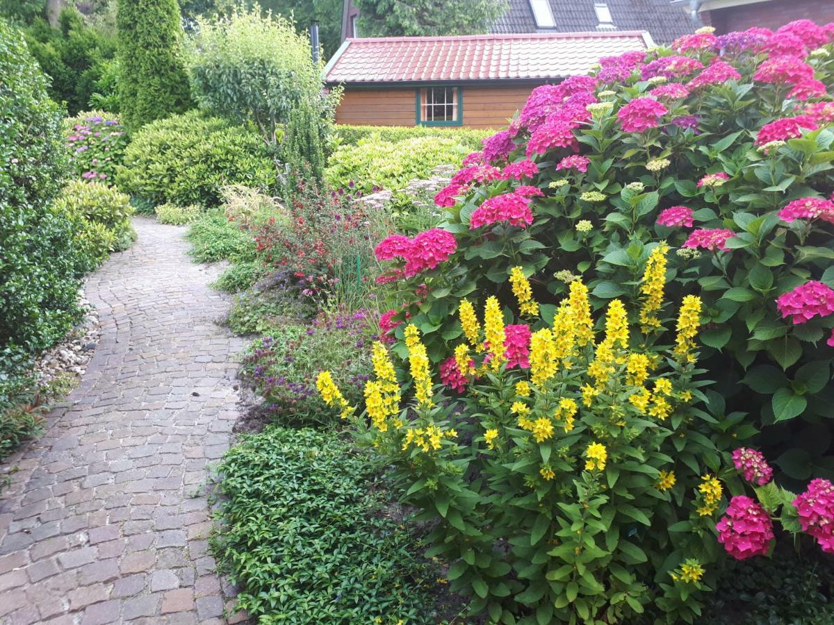 Familienurlaub In Ostfriesland Fuer Max 7 Pers In 2 Wohnungen, Auch Einzeln Wohnungen Utarp Экстерьер фото